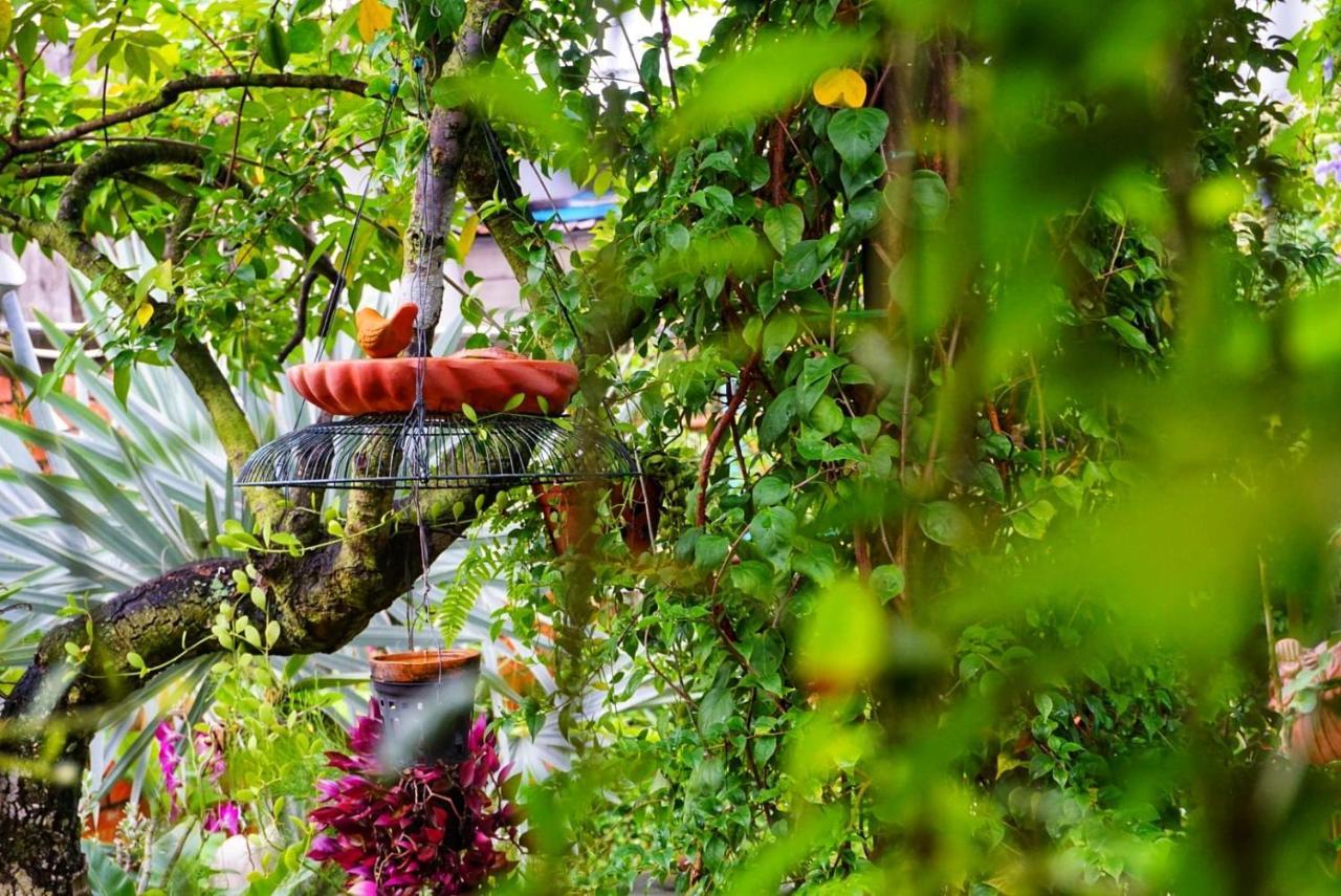 Mekong Pottery Homestay, Green-Friendly & Boat Tour Vĩnh Long エクステリア 写真